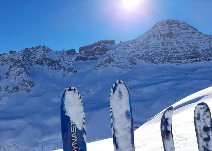 Sanset Appartement *